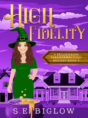 cover image of High Fidelity